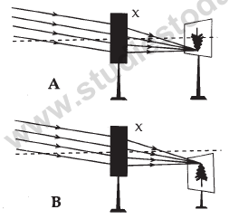 CBSE Class 10 Science MCQs Set 11-7