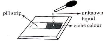 CBSE Class 10 Science MCQs Set 14