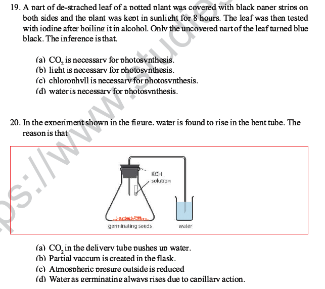 CBSE Class 10 Science MCQs Set 2-15