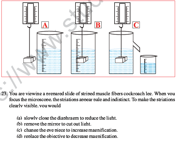 CBSE Class 10 Science MCQs Set 2-17