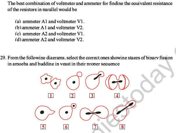 CBSE Class 10 Science MCQs Set 2-22