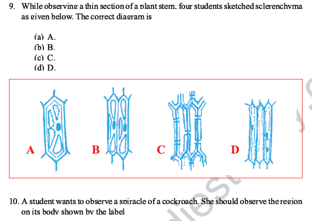 CBSE Class 10 Science MCQs Set 2-5