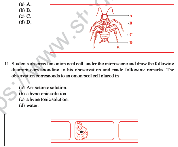 CBSE Class 10 Science MCQs Set 2-6