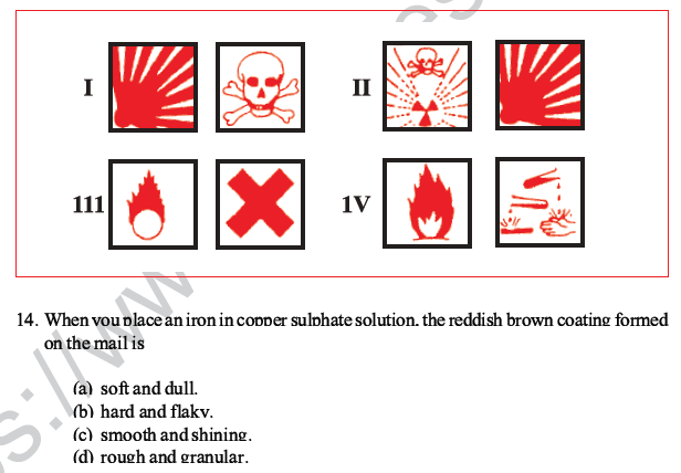 CBSE Class 10 Science MCQs Set 2-8