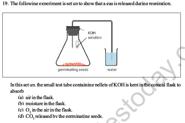 CBSE Class 10 Science MCQs Set 3-10