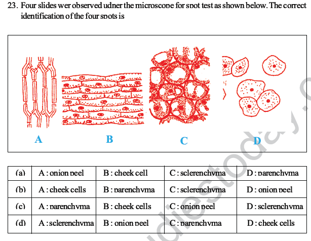 CBSE Class 10 Science MCQs Set 3-14