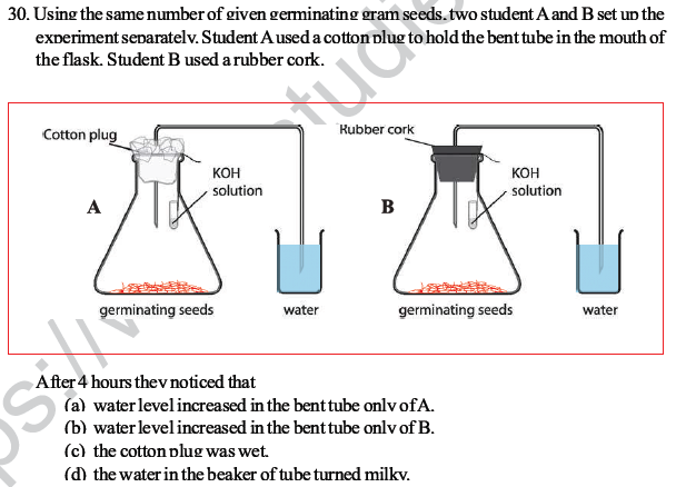 CBSE Class 10 Science MCQs Set 3-21