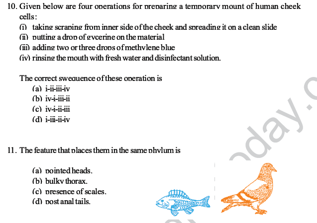 CBSE Class 10 Science MCQs Set 3-4