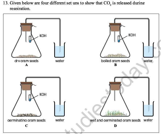 CBSE Class 10 Science MCQs Set 4-10