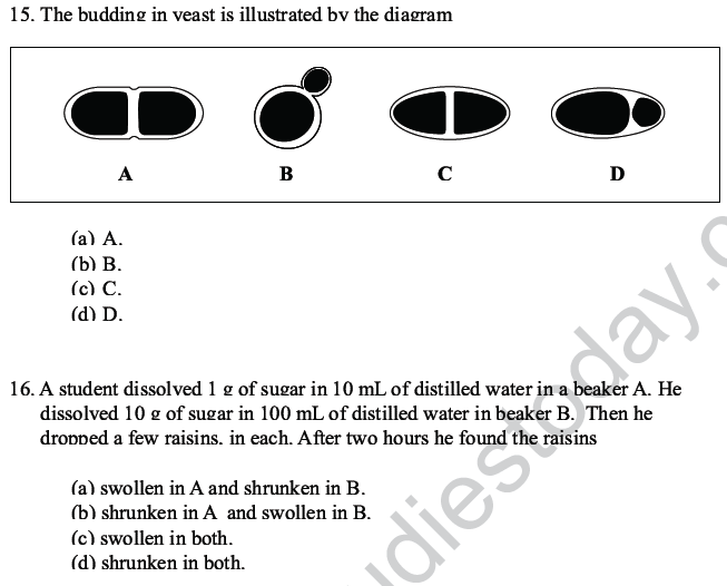 CBSE Class 10 Science MCQs Set 4-12