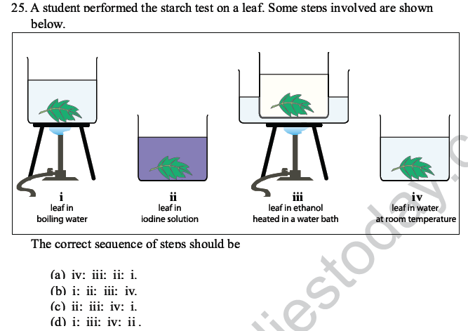 CBSE Class 10 Science MCQs Set 4-20