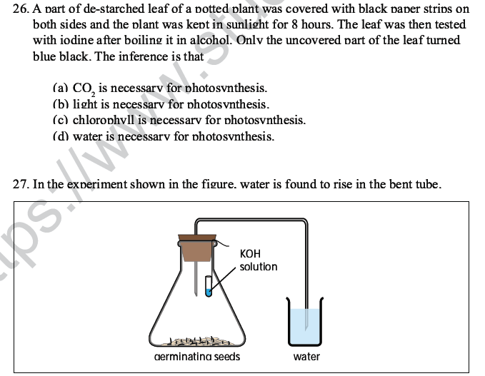 CBSE Class 10 Science MCQs Set 4-21