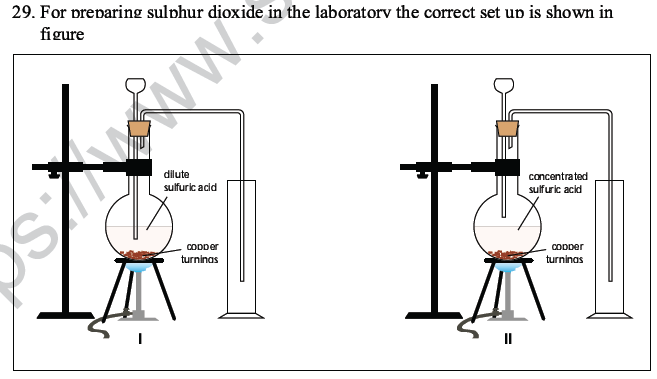 CBSE Class 10 Science MCQs Set 4-23