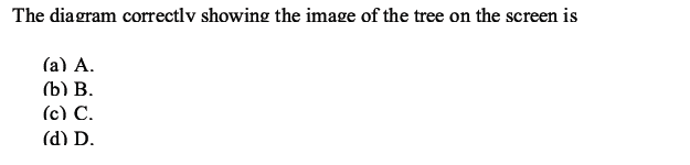 CBSE Class 10 Science MCQs Set 5-2