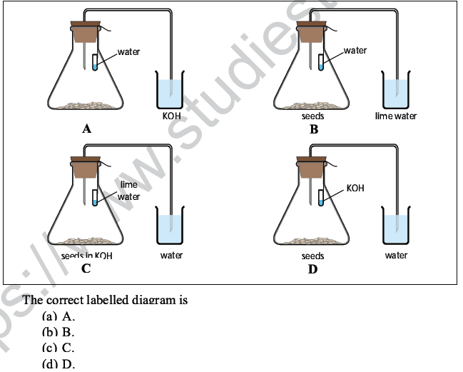 CBSE Class 10 Science MCQs Set 5-20