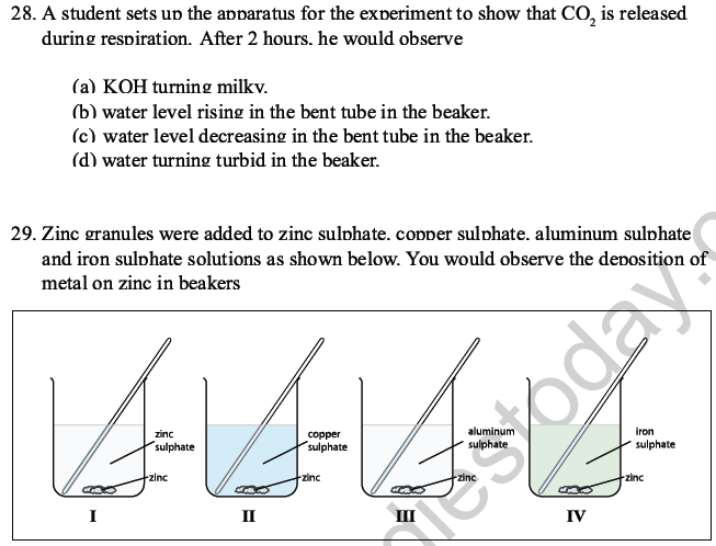 CBSE Class 10 Science MCQs Set 5-21