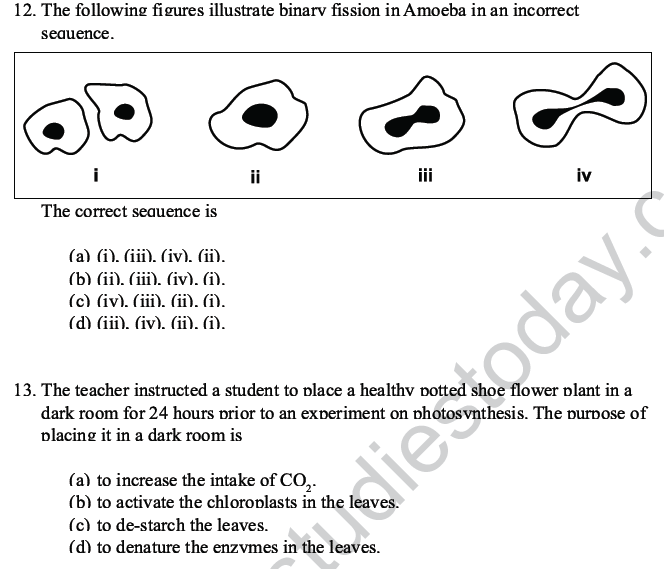 CBSE Class 10 Science MCQs Set 5-9