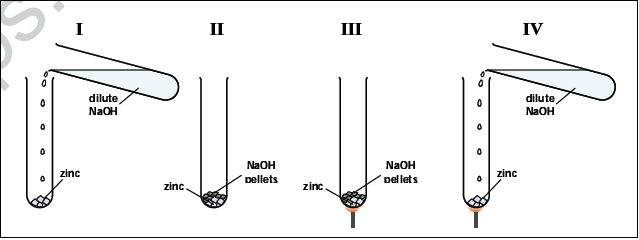 CBSE Class 10 Science MCQs Set 6-