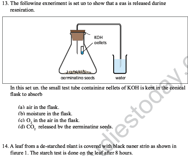 CBSE Class 10 Science MCQs Set 6-10