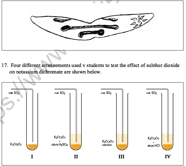 CBSE Class 10 Science MCQs Set 6-13