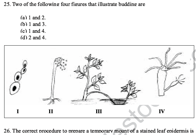 CBSE Class 10 Science MCQs Set 6-20