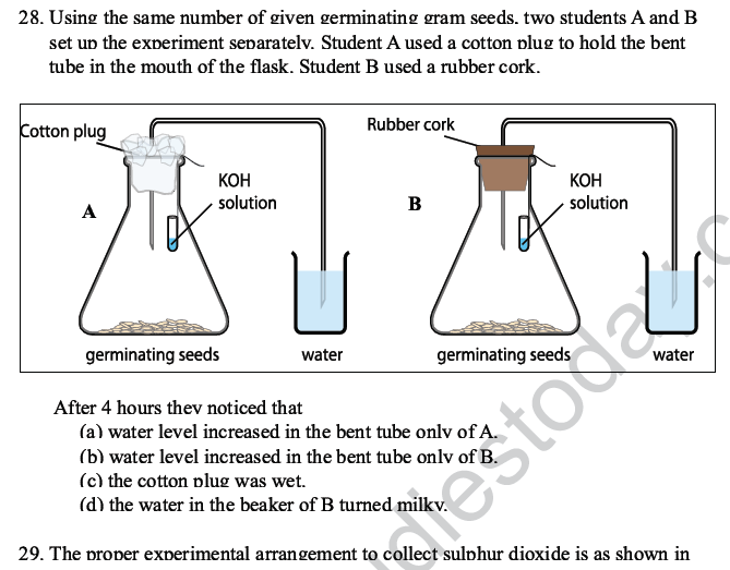 CBSE Class 10 Science MCQs Set 6-22