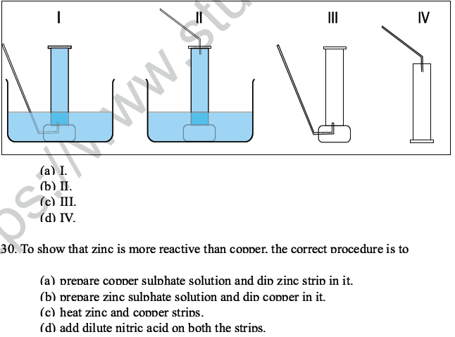 CBSE Class 10 Science MCQs Set 6-23