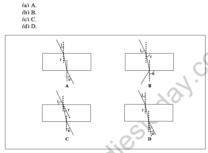 CBSE Class 10 Science MCQs Set 6-3