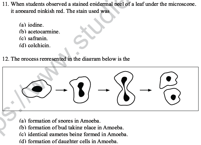 CBSE Class 10 Science MCQs Set 6-9