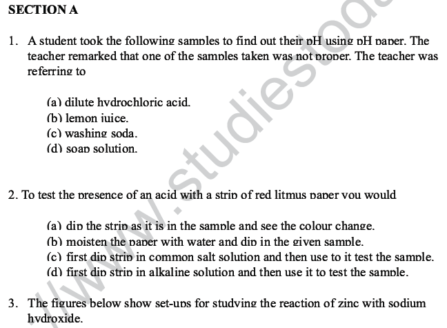 CBSE Class 10 Science MCQs Set 6