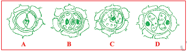 CBSE Class 10 Science MCQs Set 7-14