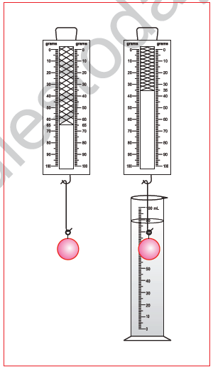 CBSE Class 10 Science MCQs Set 7-17