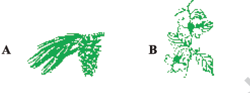 CBSE Class 10 Science MCQs Set 7-19