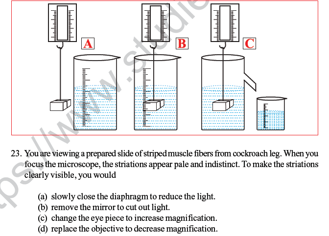 CBSE Class 10 Science MCQs Set 8-11