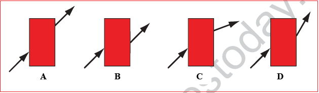 CBSE Class 10 Science MCQs Set 8-13