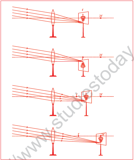 CBSE Class 10 Science MCQs Set 8-5