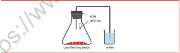 CBSE Class 10 Science MCQs Set 8-9