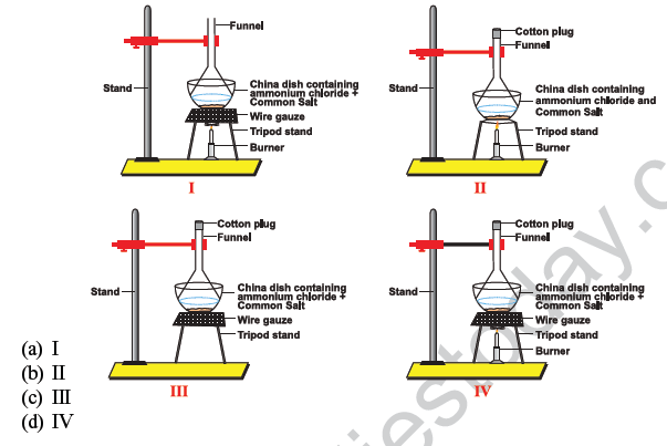 CBSE Class 10 Science MCQs Set 8