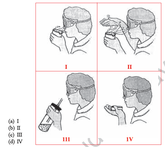 CBSE Class 10 Science MCQs Set 9-1