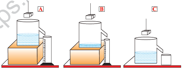 CBSE Class 10 Science MCQs Set 9-8