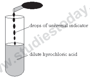 CBSE Class 10 Science MCQs-Solu