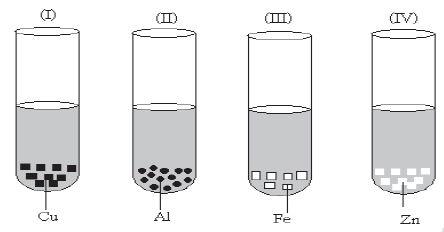 CBSE Class 10 Science MCQs-tube