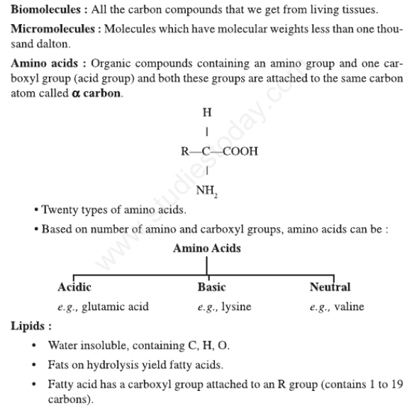 CBSE Class 11 Biology Biomolecules Concepts