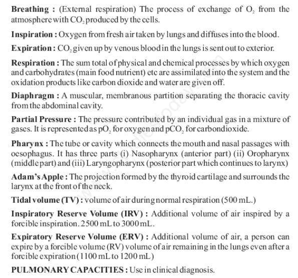 CBSE Class 11 Biology Breathing and Exchange of Gases Concepts