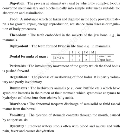 CBSE Class 11 Biology Digestion and Absorption Concepts