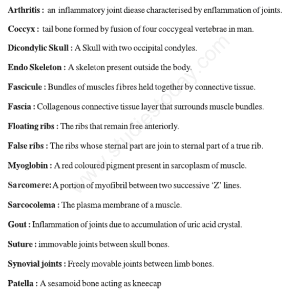 CBSE Class 11 Biology Locomotion and Movement Concepts