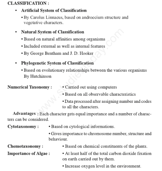 CBSE Class 11 Biology Plant Kingdom Concepts