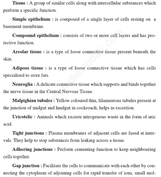 CBSE Class 11 Biology Structural Organisation in Animals Assignments