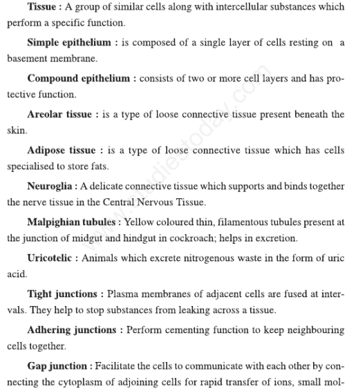 CBSE Class 11 Biology Structural Organisation in Animals Concepts