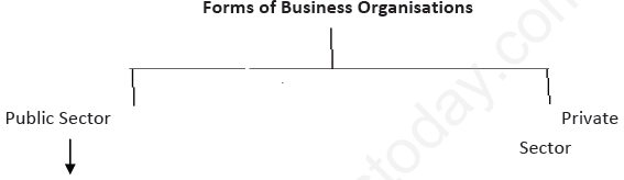 CBSE Class 11 Business Studies Public Private And Global Enterprises Assignment